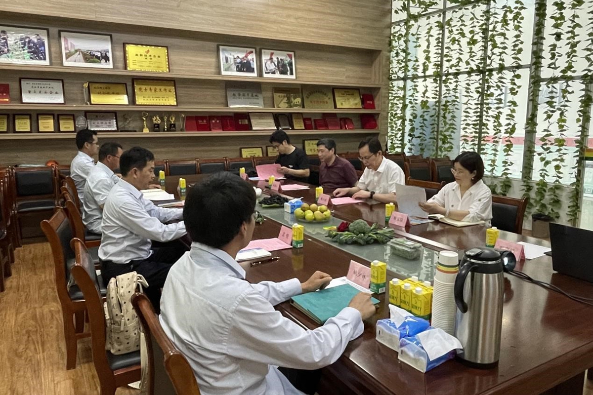 杨少波一行在亚非种业进行座谈(通讯员 孟悦 摄)