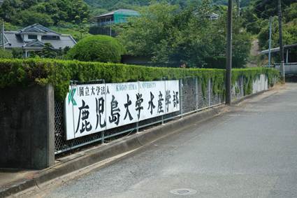 鹿儿岛大学香蕉视频
学部